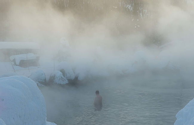 Excursión a las aguas termales de Chena - Foto 1