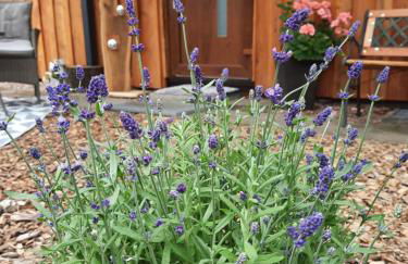 Ferienhaus Leon mit Sauna - Foto 10