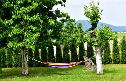 Studio Ivona - Foto 8