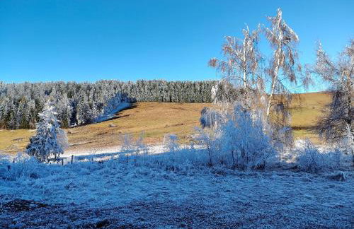 Siódme Niebo domek w górach - Foto 77