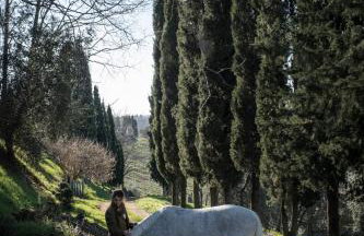 Fattoria la Loggia - Foto 101