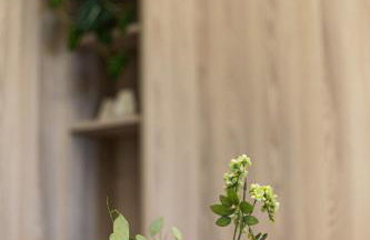 L&A Maison - Foto 20