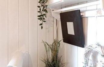 Wald und Wohlsein - Foto 23