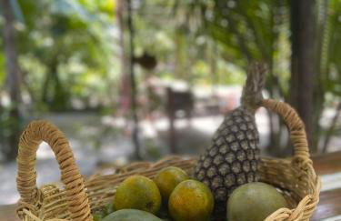 REFUGIO DO SAGRADO MORERE Tropical Lodge - A Casa do Vigía - Foto 50