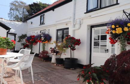 Cider Cottage - Photo 14