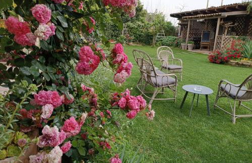 Cà Nostra B&B Home Restaurant - Photo 28