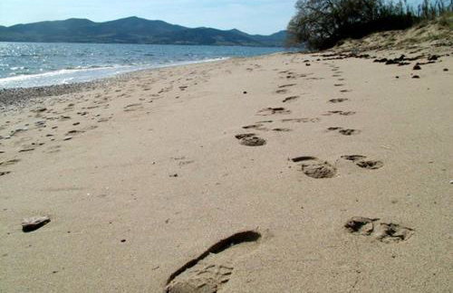 Villa Hespera - Foto 34