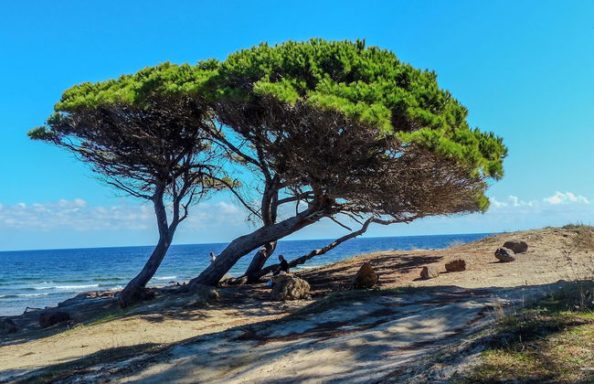 Porto Apartments - La Caletta - Foto 80