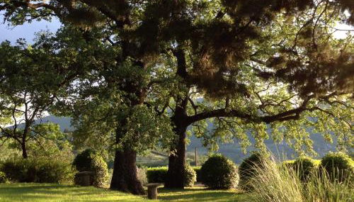 Agriturismo Il Ponticello - Foto 4, Garden