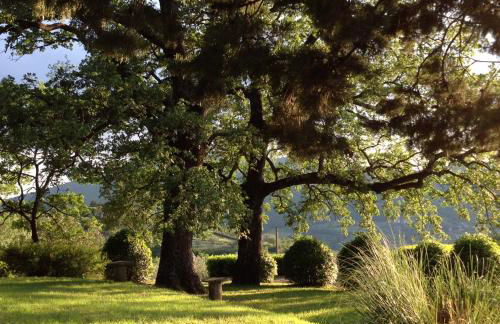 Agriturismo Il Ponticello - Foto 4