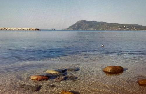 pin rollan beach - Photo 7