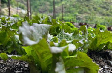 A Barreira -Lar da cima- - Foto 49