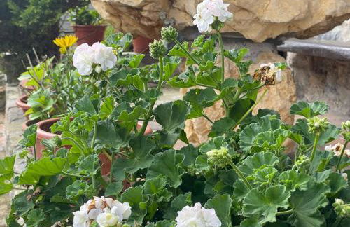 La Corrada - Foto 56