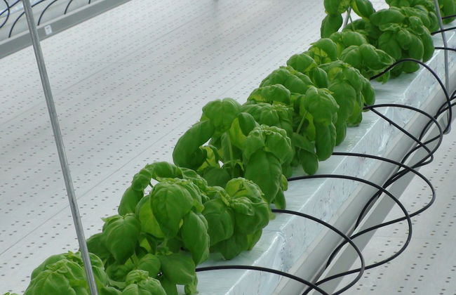 Locanda Colle Cerqueto - Photo 12