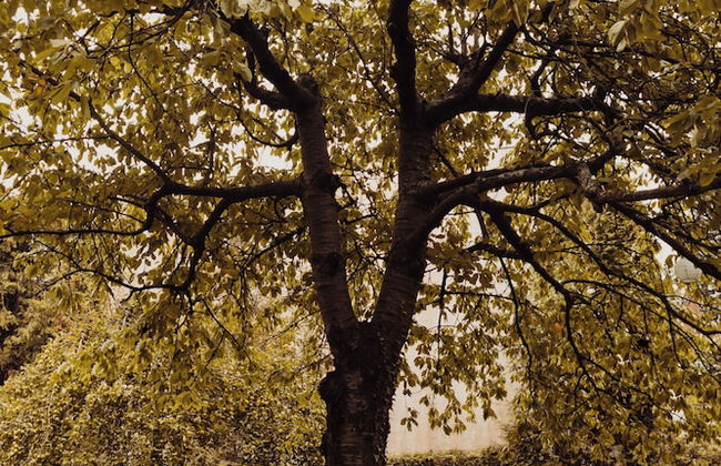 Green Hill Gdynia Orlowo - Foto 41