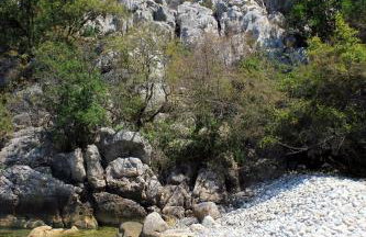 Apartments with a parking space Porozina, Cres - 14980 - Foto 4