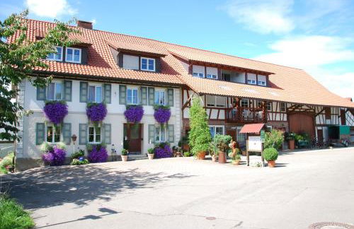 FERIENHOF KATZENMAIER, Bauernhof- und Familienurlaub am BODENSEE, großzügig wohnen, MESSENAH und teils BARRIEREFREI, Spielangebot für drinnen und draußen, Parkplatz am Haus, gute ÖPNV-Anbindung - Foto 11