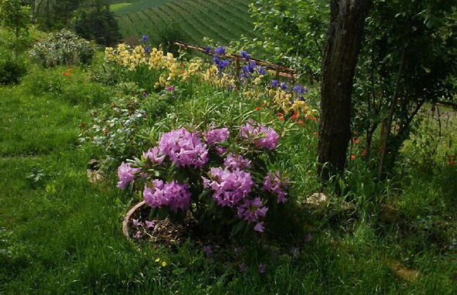 Casa Isabella - Photo 42