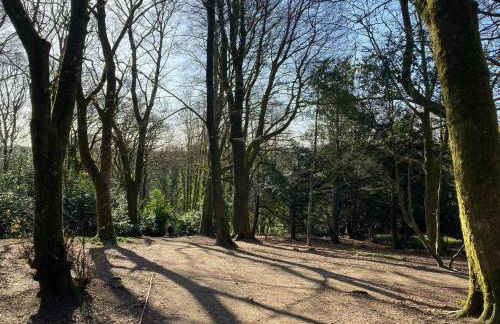 Oldmill-2bed-sleeps6-hottub-privategarden - Foto 93