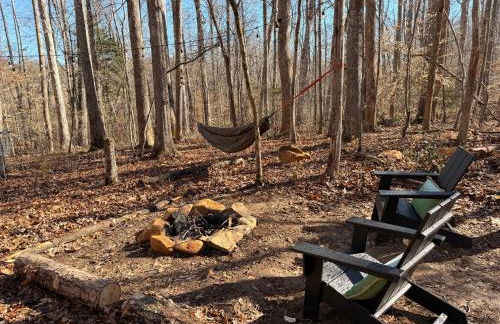 Cabin and Studio By The River - Kayaks, Trails, Gym - Foto 21