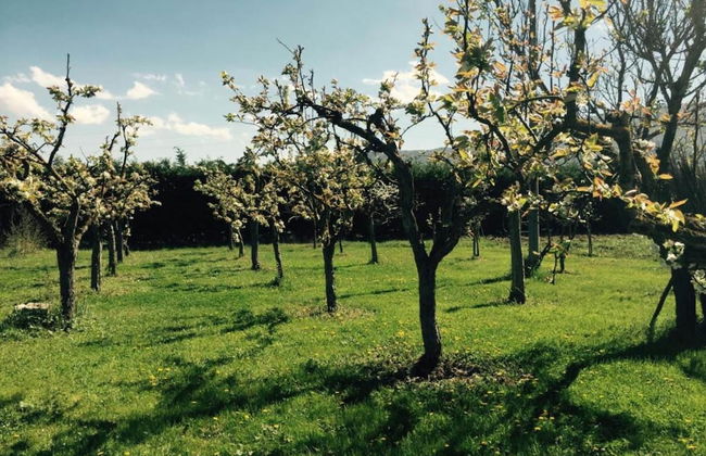 Villa in Tagliacozzo With Pool and Nature - Foto 39
