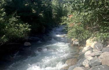 Romantic Hideaway Cottage on Clear Creek in Georgetown, Colorado - Foto 16