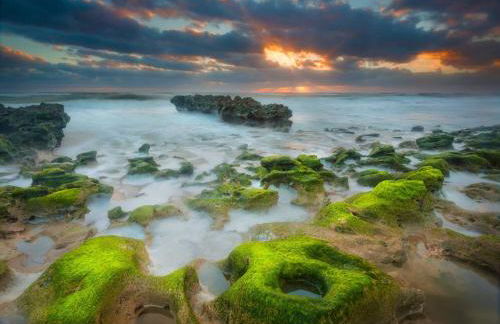 Golfers Paradise 4-hole PUTT-PUTT, Mega Chess with huge backyard, hammock - Photo 55