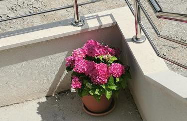 Apartment Lijana sea view - Photo 19