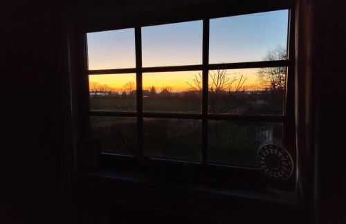 Reetmeer Apartments Spa & Reetdach am Salzhaff - Foto 19