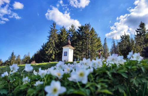 Stara Plebania - Foto 8