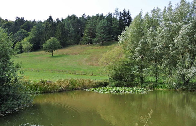 Cozy Chalet in Molln With Garden - Foto 31