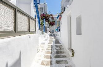 Floral Villa with marvelous view to Mykonos town - Photo 37