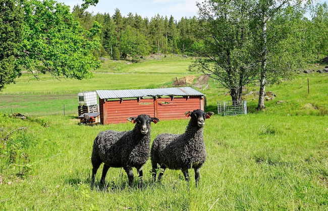 5 Person Holiday Home in Mellosa - Foto 7