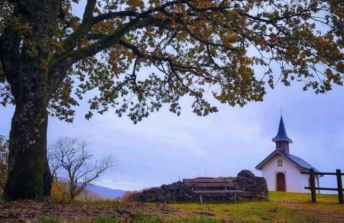Gîte Le Hangar 67 à Saulxures-sur-Moselotte - Location atypique proche lac - Foto 27