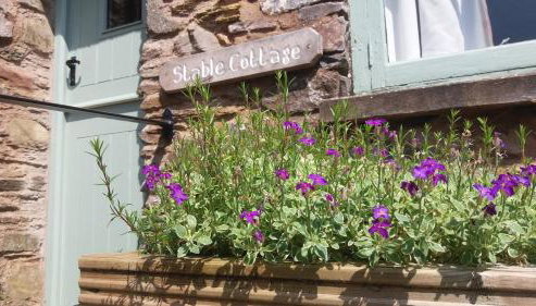 Wonderfully situated in the heart of Exmoor - Foto 3, Garden