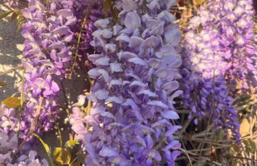 Grahl´s Ferienwohnung - Foto 46