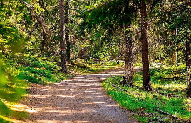 4 Person Holiday Home in Borlange - Foto 14