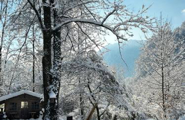 Haus am Wald -FeWo - Foto 30