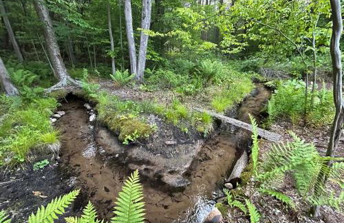 European inspired cottage - Foto 7