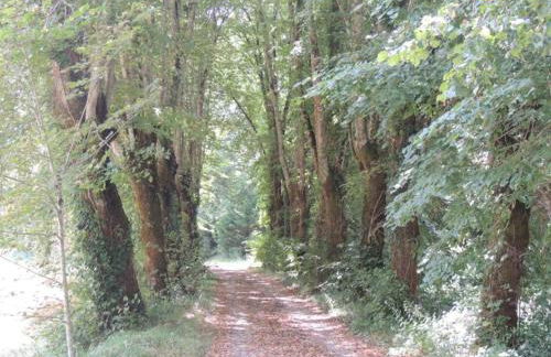 Historic Tower Home in Brignac - Foto 33