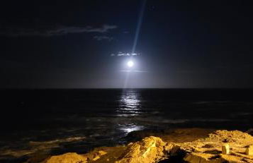 Torrevieja Relax & Sea view Apartment - Cabo Cervera - Foto 32