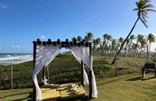 Farol do Tree Bies - Foto 32