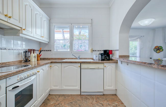 Eucaliptus - Foto 15