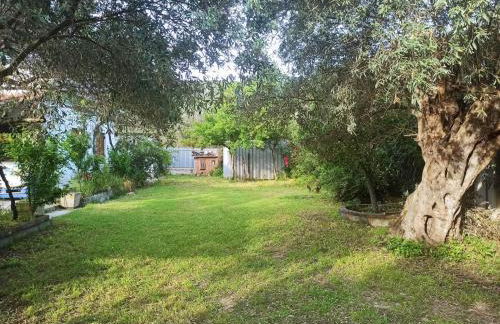 Zephyr Guest House - Foto 8