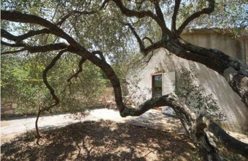 Apartment Stanisic - Foto 25