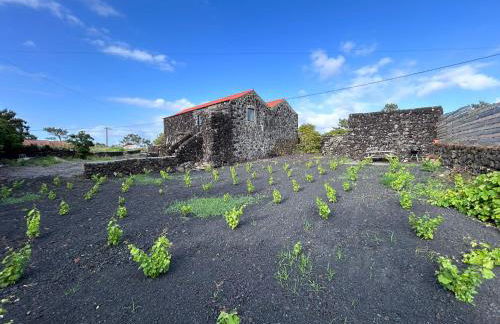 Casa 3 Picos 2 - Photo 22