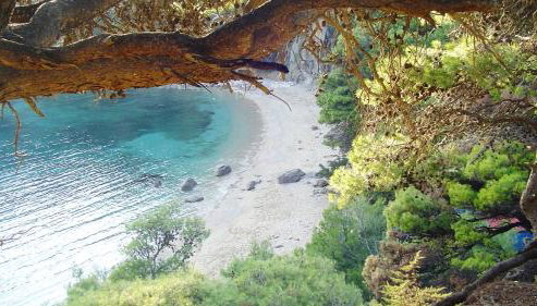 Michelangelo suites and apartments - Foto 2