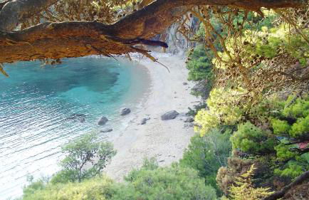 Michelangelo suites and apartments - Photo 2