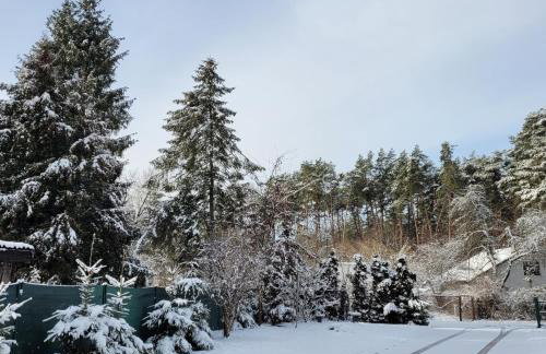 Domki RADAWA na Kliszówce - Foto 74