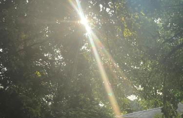 Tree House 6 bedrooms, 2 blocks from everything - Foto 18